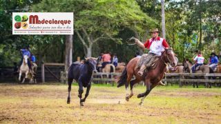 Entre laço e gineteada, a tradição campeira fez ferver o chão do CTB Bento Gonçalves da Silva, em Cr